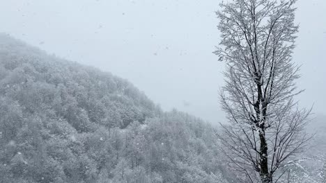 Schneebedeckte-Waldhügel,-Hoher-Baum-Am-Malerischen-Aussichtspunkt-In-Der-Bergwelt-Im-Winter,-Landschaft-Mit-Starkem-Schneefall,-Ländliches-Dorf,-Natur,-Weite-Sicht-Im-Berghochland,-Trekking-Abenteuer