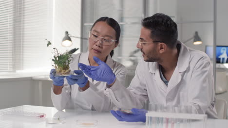 scientists examining a plant sample in a laboratory