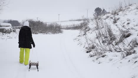 Rückansicht-Einer-Frau-In-Winterkleidung,-Die-Einen-Holzschlitten-In-Einer-Verschneiten-Winterlandschaft-Hinter-Sich-Herzieht