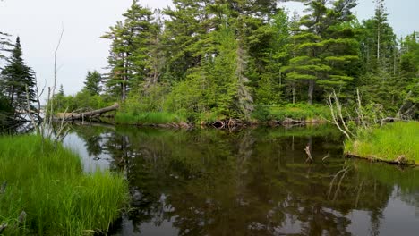 Panorámica-Aérea-Y-Paso-Elevado-Bajo-Pequeño-Lago-Boscoso,-Lago-Superior,-Michigan