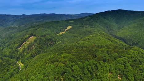 lush green hills under a clear blue sky. expansive green hills stretch across the landscape, captured in vibrant detail under bright sunlight