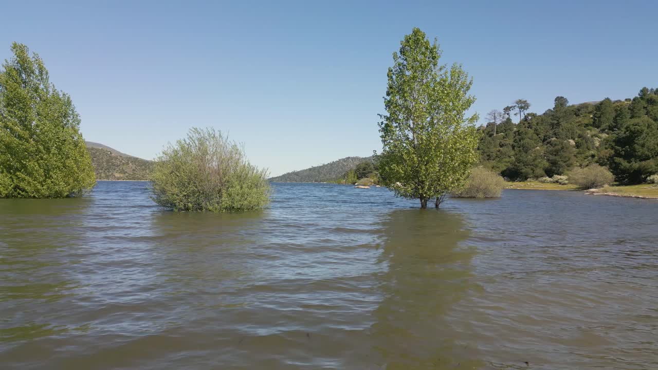 Frontal drone flight over a water reservoir passing next to partially submerged trees, including poplars and willows. A stunning natural landscape of calm water and surrounding hills is revealed.