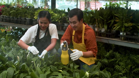 Jardineros-Trabajando-En-El-Interior