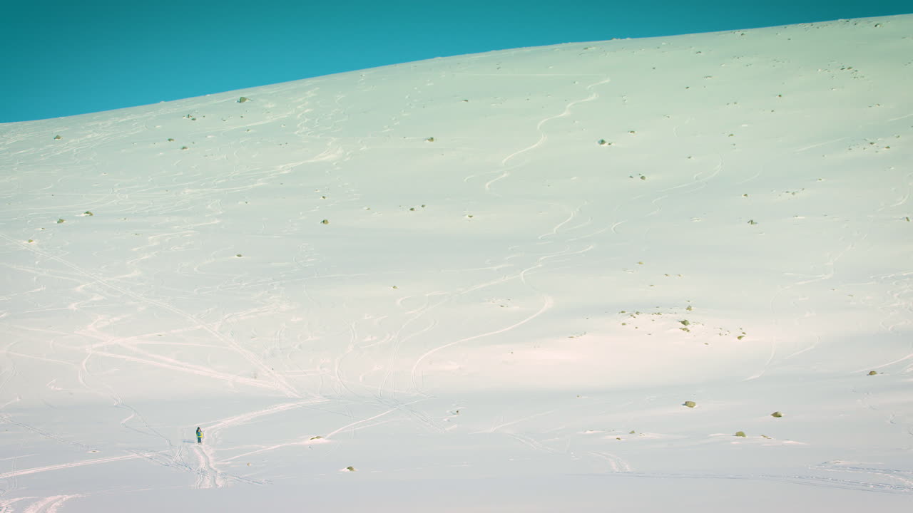 세 사람과 개가 눈 속을 하이킹하는 와이드 샷