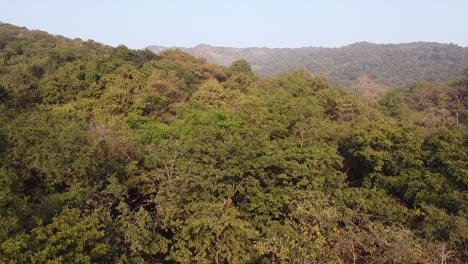 Aerial-view-of-a-green-mountains-covered-with-big-trees-and-plants,-Drone-shot-of-mountains-revealing-video-background