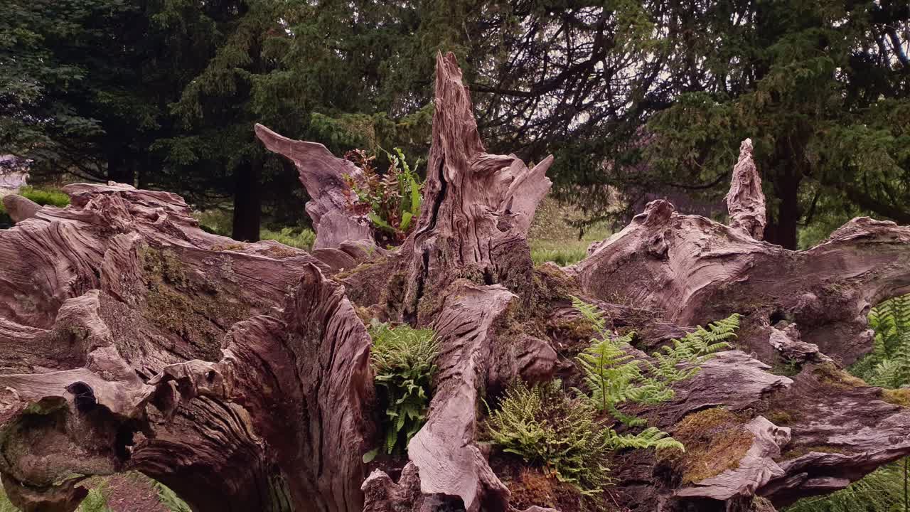 당당한 집과 정원에서 시간을 보냈습니다.