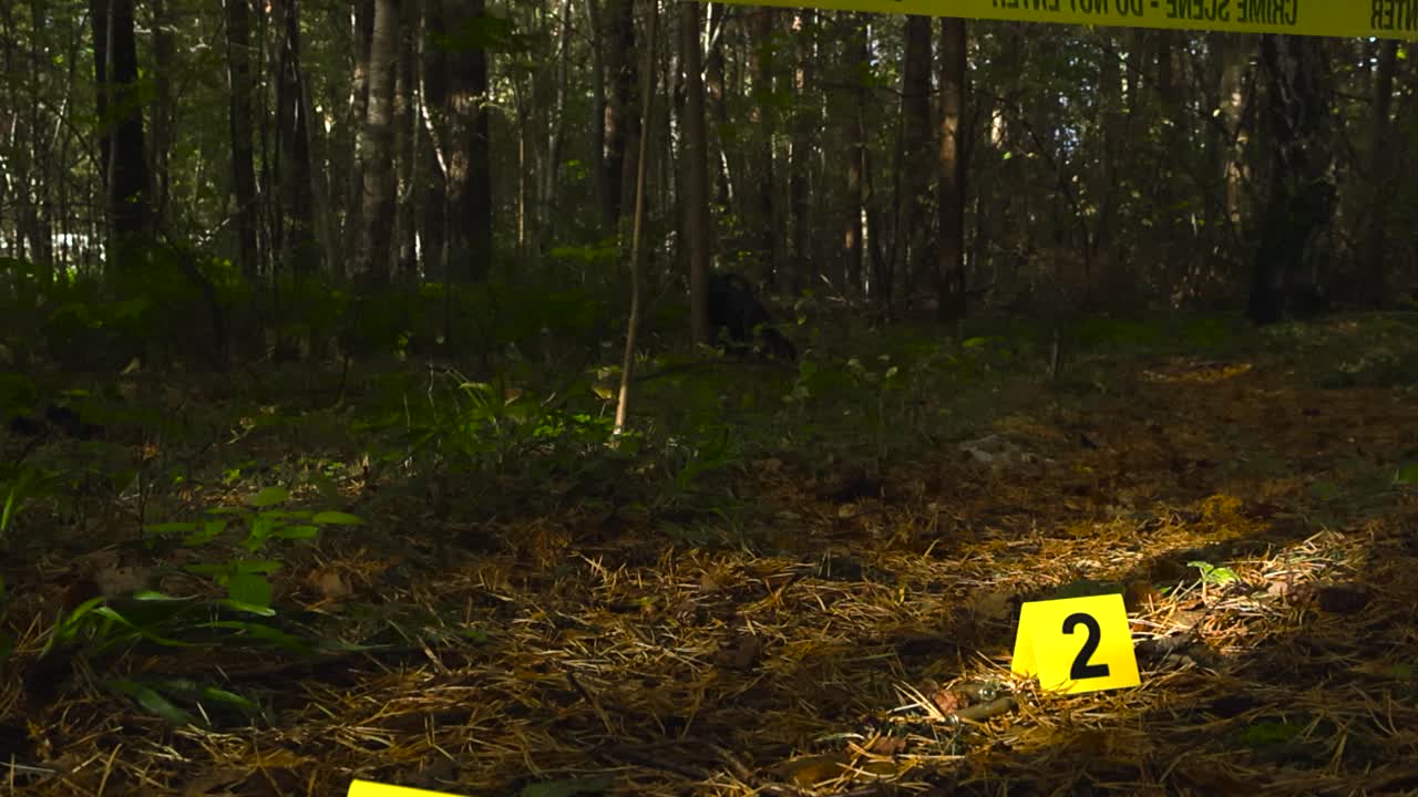 Low angle view of yellow colored Crime Scene numbered forensic investigation markers next to ammo ammunition or bullets on forest sunny and pine needles covered ground, Police line hanging around it