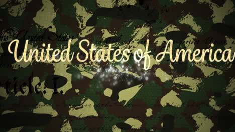 united states of america text and constitution script against camouflage background