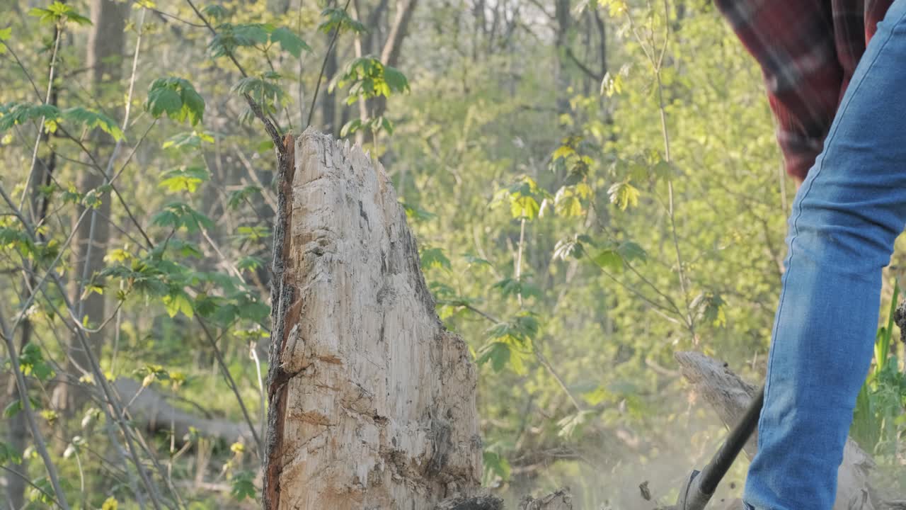 그의 도끼로 나무 조각을 자르는 백인 벌목꾼