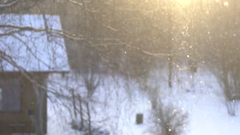 Snow-crystals-flying-in-yellow-morning-sunlight-with-a-tree-branches-and-snowy-house-in-background