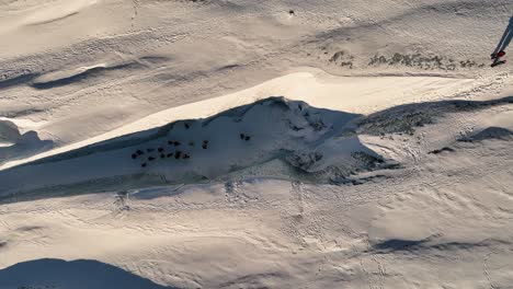 aerial view over people hiking on sólheimajökull glacier, in iceland, at dusk