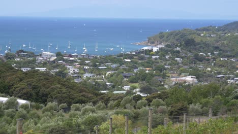 紐西蘭威希克島 (waiheke island) 的一個山頂