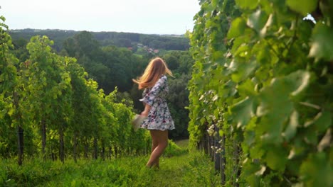 stunning hd footage of a young white caucasian woman with a knitted hat, dress and red lipstick joyfully walking through vineyards then playfully taking her hat off