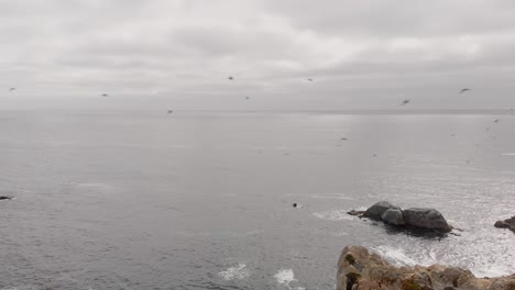 Pájaros-Volando-Sobre-El-Océano-Nublado-En-El-Norte-De-California,-Big-Sur