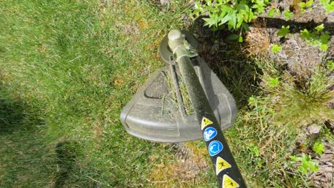 weed whacker cutting down the overgrown grass near