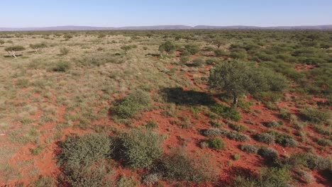 Aerial-view-of-an-arid-African-savannah-in-the-Kalahari-region-of-the-Northern-Cape,-South-Africa