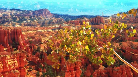 bryce canyon scenic view from sunset point