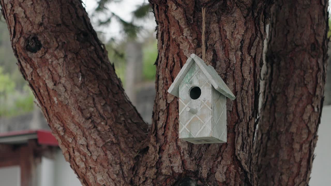 small wooden birdhouse on tree trunk in peaceful outdoor scene