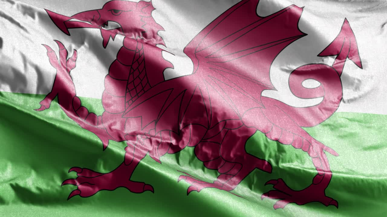 웨일즈의 섬유 발이 바람에 흔들리며, 웨일즈 발은 바람에서 흔들리고, 직물 섬유 조직은 완전히 채우는 배경, 10 초 루프.