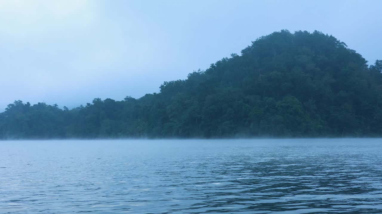 숲 위의 안개와 함께 평온한 호수 전망