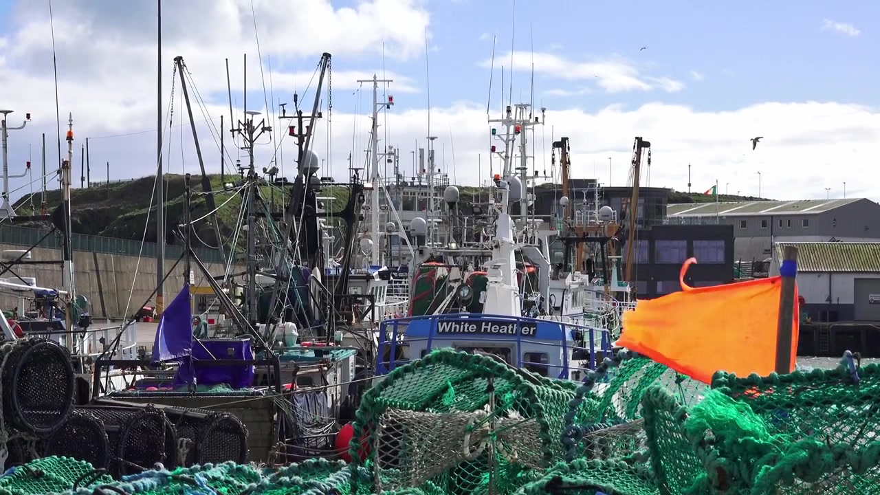 Port de pêche de Dunmore East, Waterford, la flotte de pêche au port s'abritant de la tempête hivernale à venir