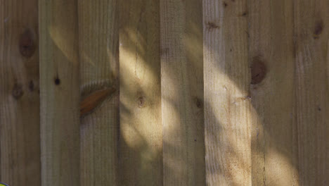 sunlight shining and creating patterns of light on a wooden fence