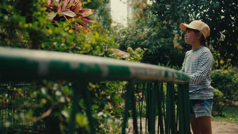 girl watching animals at a zoo, thoughtful and calm, daytime outdoors, sunny mood