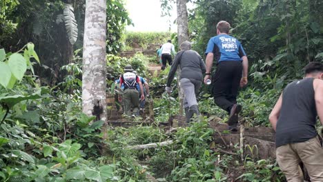 group of hiker expedition tourists is climbing a steep trail up a mountain in jungle bush rainforest of ecuador