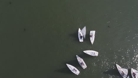 vista aérea de veleros en el agua