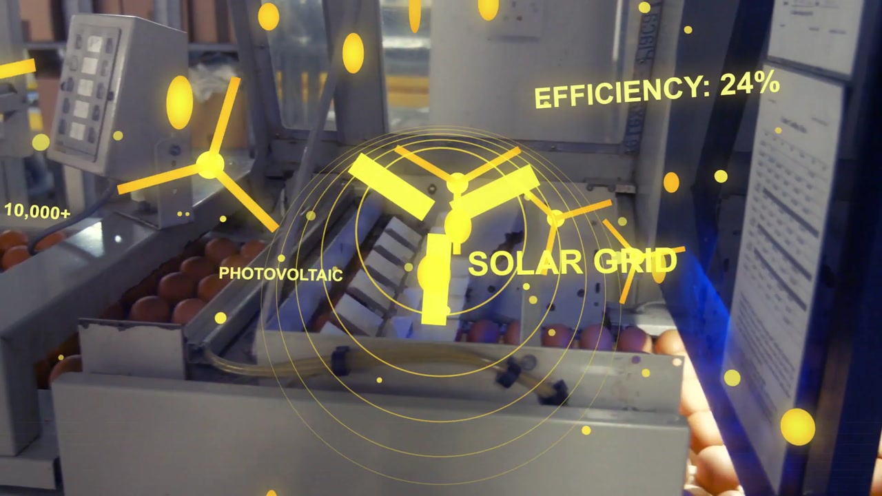 Egg line moving trays worker checking panel via AR overlay updating solar efficiency for packaging