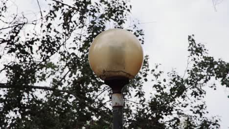 Antigua-Farola-Portuguesa-Con-árbol-En-Segundo-Plano.