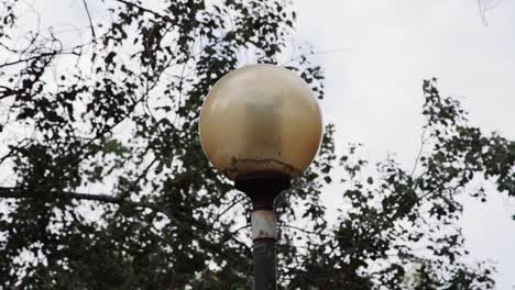antigua farola portuguesa con árbol en segundo plano.