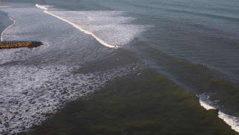 surfers waiting for big sea wave, chapadmalal in argentine