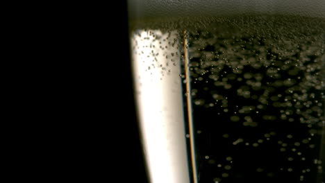 bubbles rising in champagne