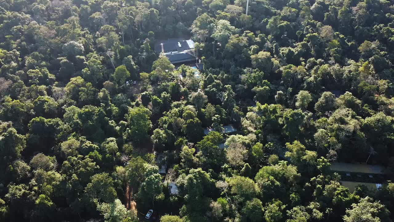 Downward aerial clip visualizing Argentine jungle and hotel swimming pool in between trees during early morning. Vast vegetation and green shades. Shot on 4K at 60fps.