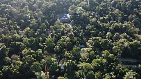 downward aerial clip visualizing argentine jungle and hotel swimming pool in between trees during early morning. vast vegetation and green shades. shot on 4k at 60fps.
