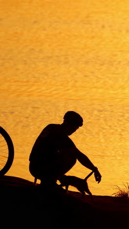 male cyclist with cats on orange water background at sunset. silhouette of a man sitting near the bike and three cats in the evening. vertical video