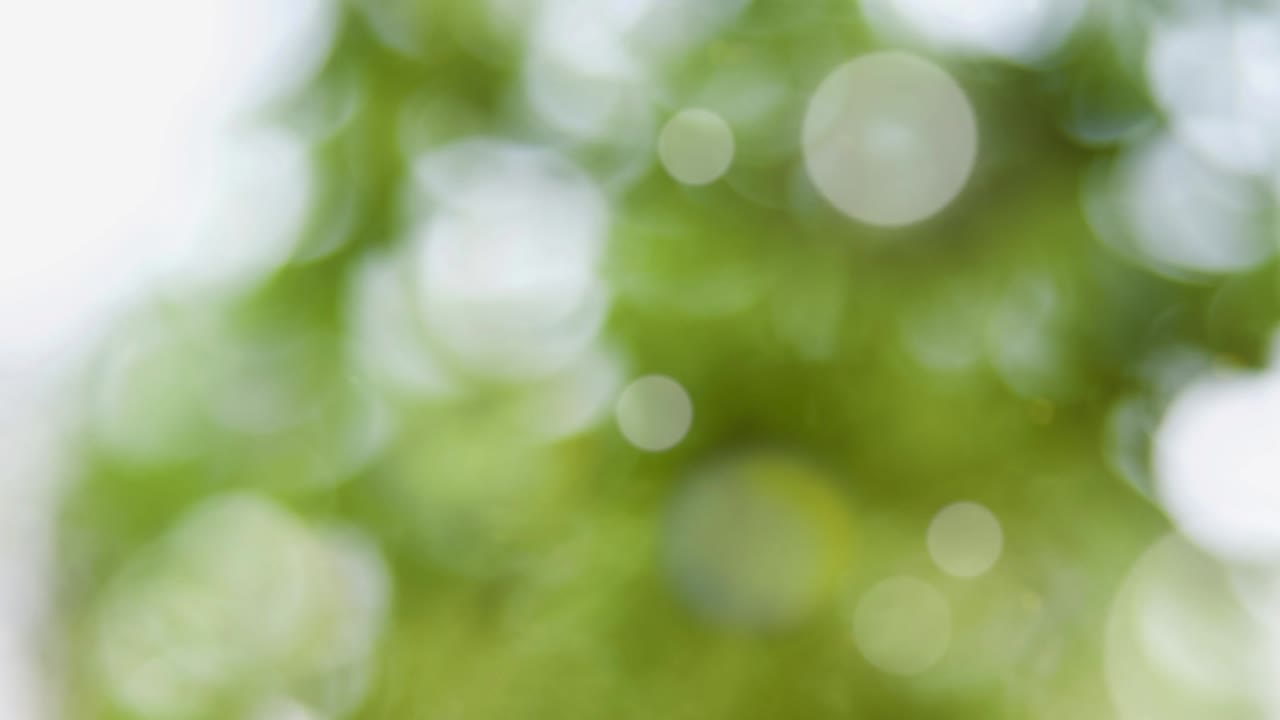 fondo de verano abstracto con bokeh