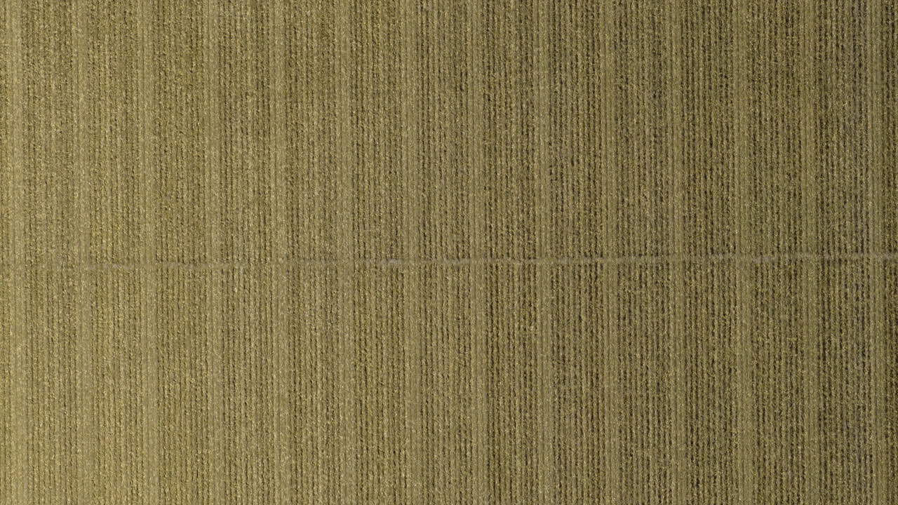 Bird's Eye View Over Farm Fields In Missouri, USA - Drone Shot
