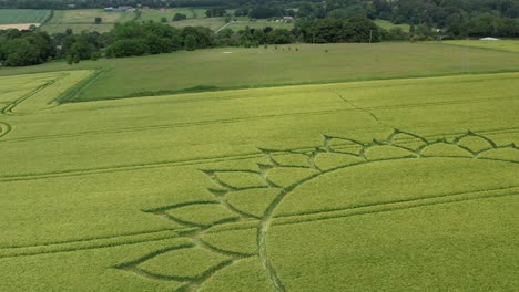 Crop-Circle-Patterns-in-Beautiful-Grain-Farmland-Meadow,-Aerial-with-Alien-Concept