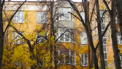 autumnal cityscape with apartment building and trees