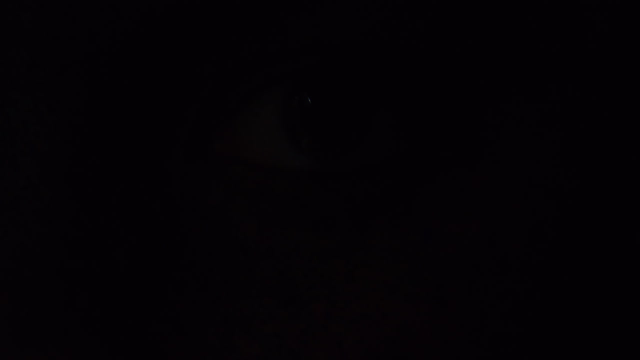 de cerca macro mujer ojo con cara pintada arte corporal artista femenina misteriosa con maquillaje colorido luz desvaneciéndose a la oscuridad