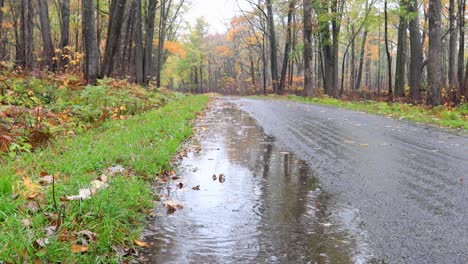 road close up of rain drops in autumn