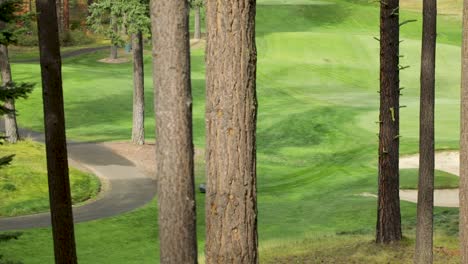 Mower-work-on-a-golf-course-fairway