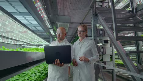 microbiologists man and woman on the production of hydroponics in white coats, a man holding a laptop, a woman hands touching plants, discussing the results of the study, a man climbs the stairs.