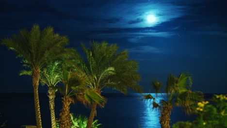 luna creciente sobre la costa tropical en el cielo vuela un meteorito real 4k timelapse video
