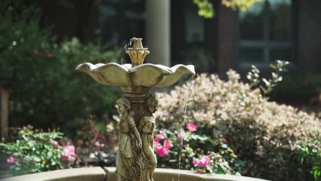 fountain water feature outdoors on a sunny day