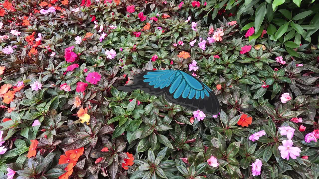 Animated butterflies gracefully flutter above colorful flowers, creating a lively and enchanting garden scene with dynamic movement