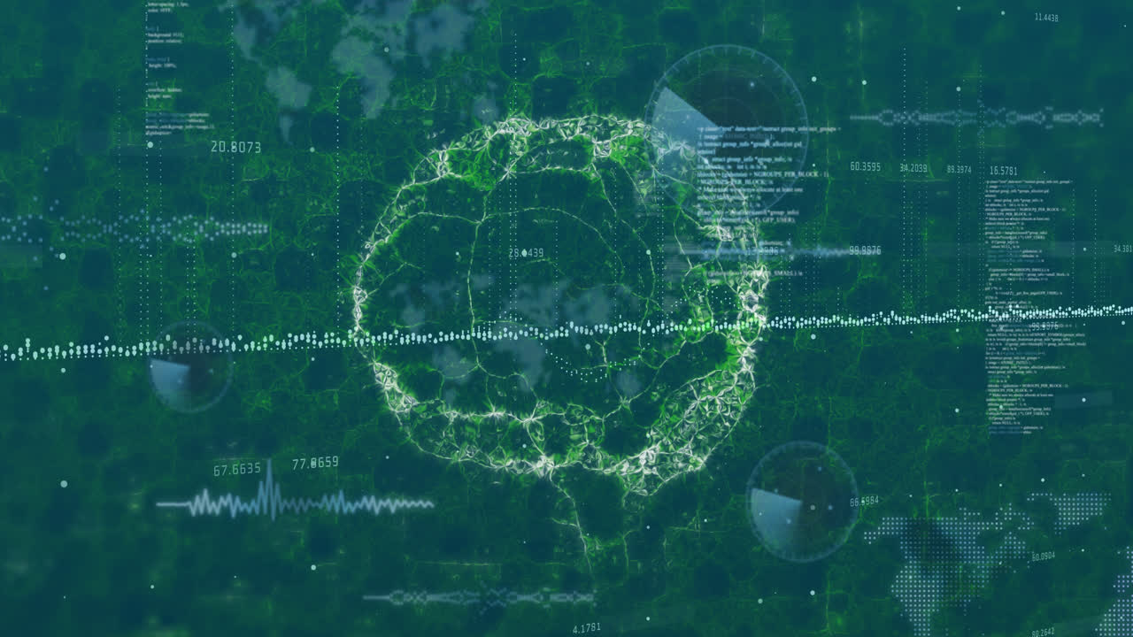 데이터 처리의 애니메이션과 디지털 스크린에서 회전하는 인간의 뇌