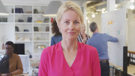 Business-woman-smiling-at-the-camera